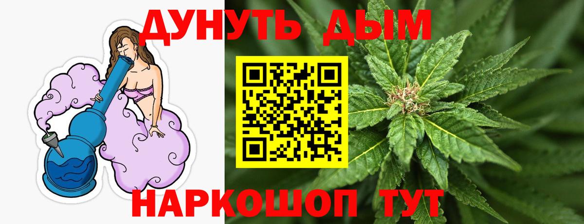 Шишки марихуана планчик  Вход с VPN  Конопля Amnesia  Конопля Bruce Banner  Североморск 